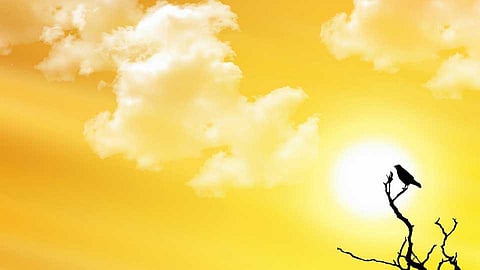 पाण्याची बाटली सोबत ठेवा, टोपी घाला, गॉगल लावा.. कारण मुंबई पेटलीये !