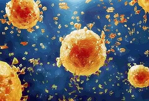 seven person has swine flu in ratnagiri