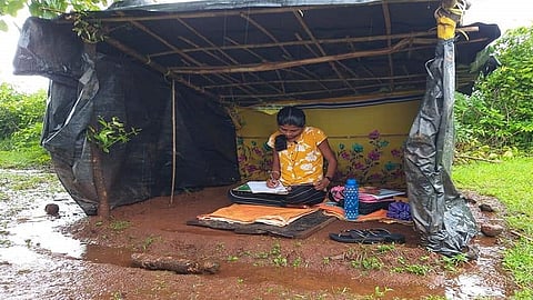 special story of swapnali sutar a girl online study forest scuttle in sindhudurg