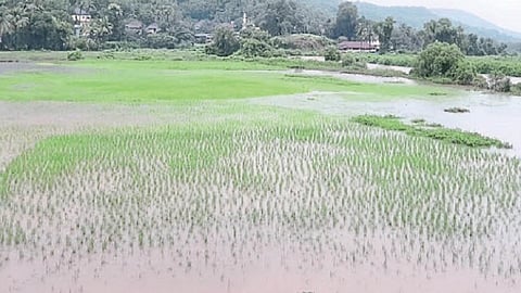 hot water puddings in ratnagiri due to bund in sea sprem in ratangiri