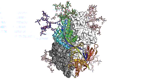 भविष्य नोकऱ्यांचे:अल्फा फोल्ड : भाकीत प्रथिन संरचनेचे!
