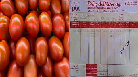 tomatoes2.png