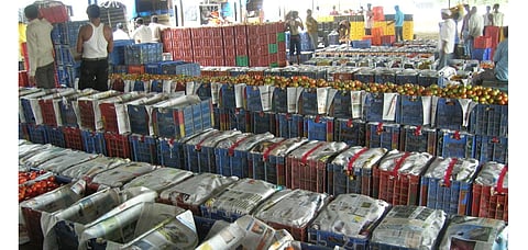 वृत्तपत्र रद्दीच्या टंचाईबरोबर रेटही वाढले तिप्पट; द्राक्ष उत्पादक व टोमॅटो व्यापारी हतबल