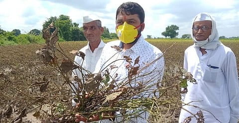 Akola News: ... then lets celebrate Diwali in the ministers house !, Ravikant Tupkar beating; Swabhimani aggressive on farmers questions