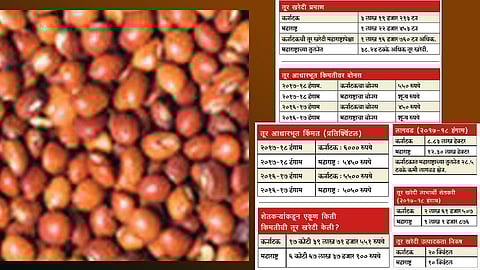 तूर खरेदीत कर्नाटकची महाराष्ट्रावर आघाडी
