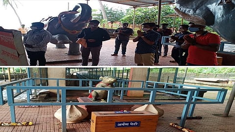 due to the fear of corona spreading in people the ganpatipule trust take related decision in ratnagiri