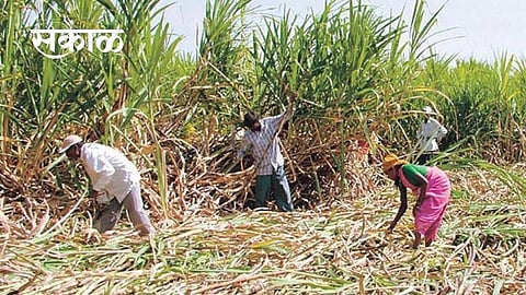 Satara Latest Marathi News