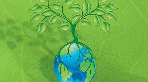 special story on Vasundhara Day and Newspapers