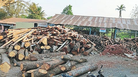 Satara Latest Marathi News