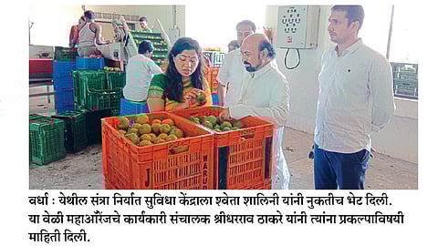 संत्रा उत्पादकांना मिळणार जागतिक दर्जाचे तंत्रज्ञान