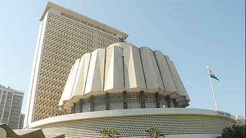 द्राक्षबागांना शेडनेट, प्लास्टिक आच्छादनास 50 टक्के अनुदान देण्यास सरकार सकारात्मक - सहकारमंत्री