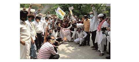 Holi of Nagpur Agreement in Vidarbha by Vidarbha State Andolan Samiti