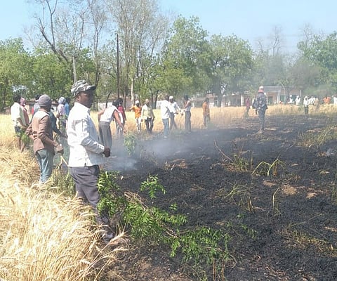 शेतकऱ्यावर आला दुष्काळात तेरावा महिना; संपूर्ण शेत जळून खाक