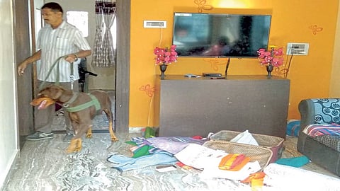 वनवासमाचीत रात्रीत चाेरट्यांनी फोडली पाच घरे; ग्रामस्थांत घबराट