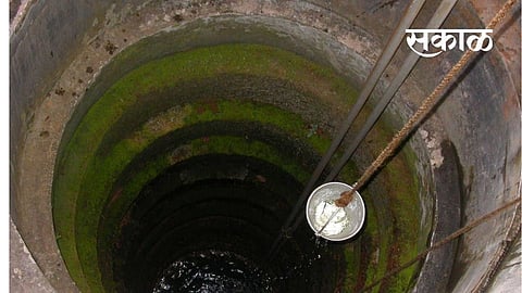 Two leopards die after falling into a well in Bhandara district