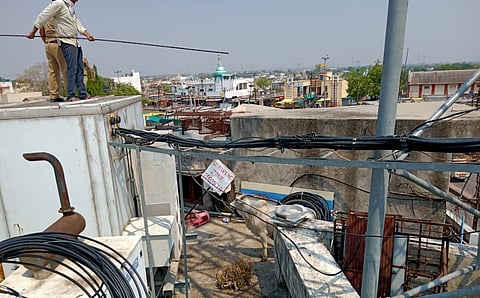 bull climbs to the third nest of the complex At Yavatmal