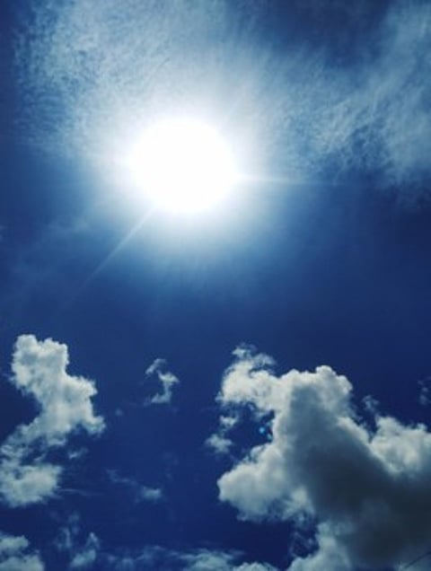 zare photo.jpg