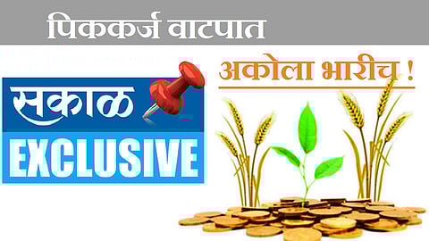 Akola News 54 crore peak loans allotted for rabbis, 90 per cent of the target allocated