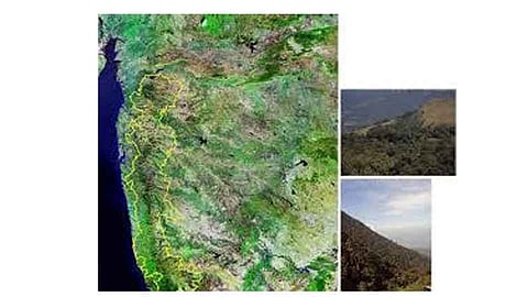 इको सेन्सिटिव्ह झोन काय खरे - काय खोटे ?