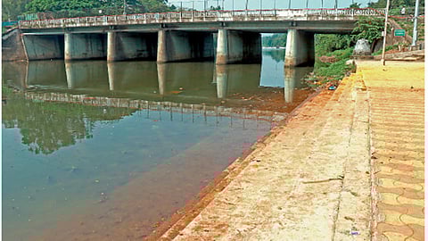 स्वच्छता केल्यानंतरचे चित्र.