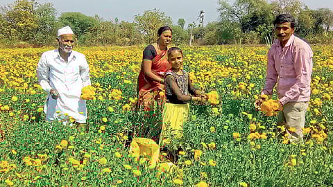 एकमेकांचे कष्ट मिळून पेलले; शेतीचे अर्थकारण उंचावले