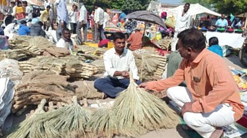 The broom required for Lakshmi Puja on Diwali is from the other state