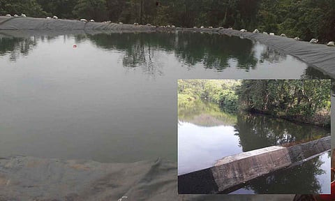 राजवाडी पॅटर्न : जलव्यवस्थापनाचा यशस्वी कोकणी प्रयोग