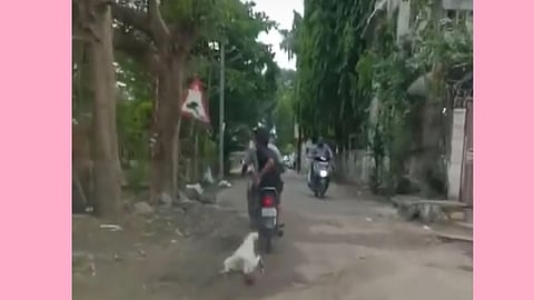 Dog abuse, crime against two people Aurangabad News