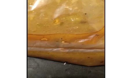 टाटा आमंत्रा क्वारंटाईन सेंटरमध्ये रुग्णांच्या जेवणात आळ्या; महापालिकेने घेतली तत्काळ दखल