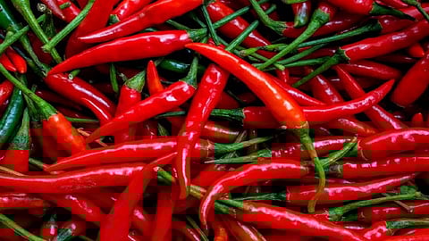rates of chilli are high due to exporting