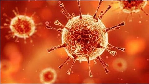 CCHF disease is spreading from pet animals