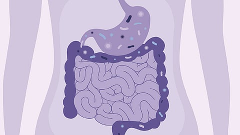 आतड्याची माया