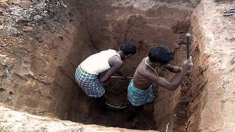 Owners of Poultry Farms have to throw birds in Pit in Yavatmal