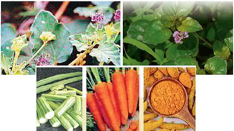 अंगावर सूज