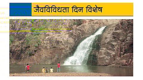 सात ठिकाणांना जैवविविधता वारसास्थळांचा दर्जा