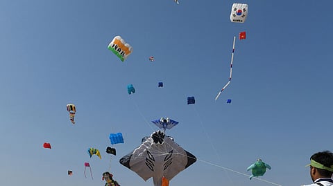 Nagpur In Manja Hundreds Stuck Death Of Birds