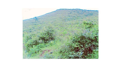 शाहुवाडीत तालुक्यात ११० हेक्टर वनजमिनीमध्ये खाणकामाचा घाट