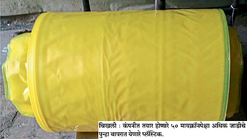 कॅरीबॅगचे कारखाने बंद