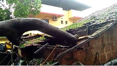 सावडाव धबधबा प्रवाहीत; पर्यटकांची हजेरी (व्हिडिओ)