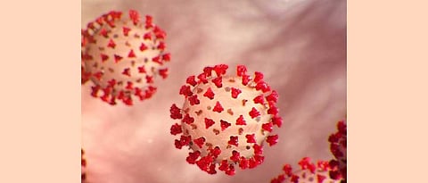 Karad Became HOTSPOT