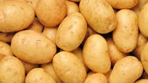 potato