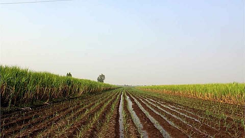 क्रांती शेती विकासाची