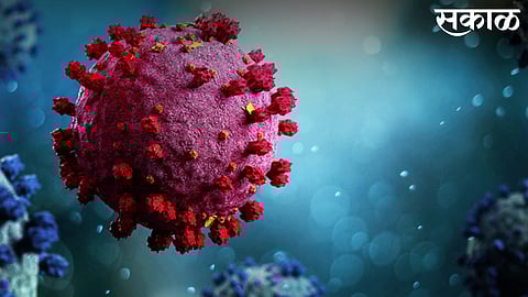 467 new corona patients today in Nagpur