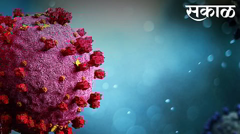 Solapur Corona Update