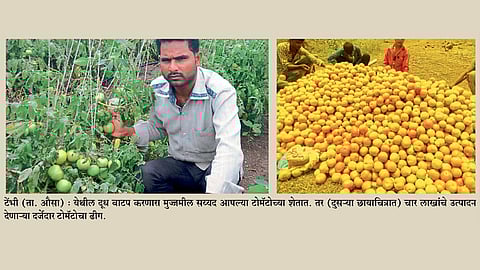 तीस गुंठ्यांत झाली चार लाखांची कमाई