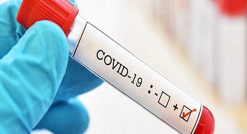 3more_20than_2014_20hundred_20new_20patient_20found_20in_20nashik_20marathi_20news (2).jpg