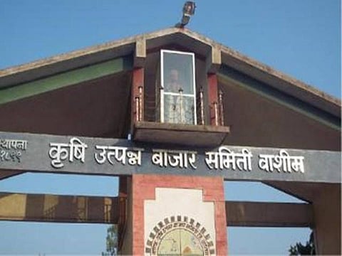 Akola Washim News 53 Former directors will have to give notice, ten years account