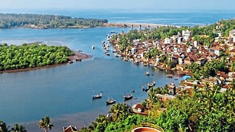 Proposal To Remove Silt From Creek Submitted To Fisheries Commissioner