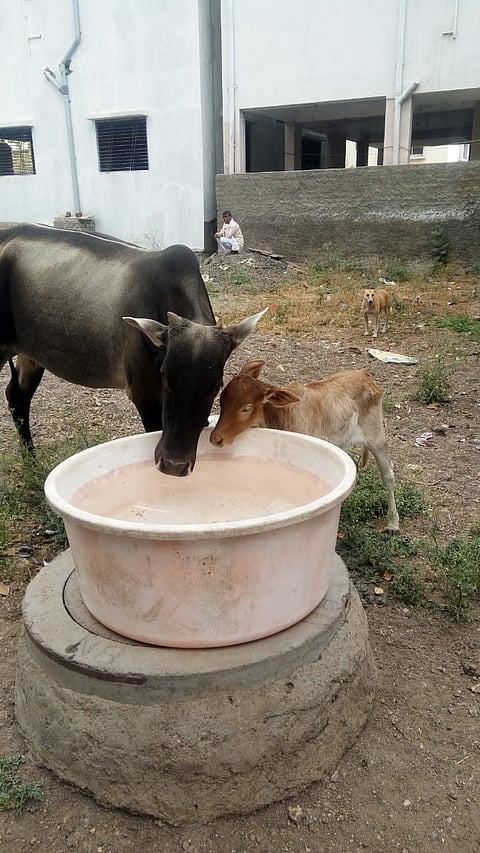 जेथे एक ड्रमसाठी पैसे मोजावे लागतात तेथे ते चालवितात पाणपोई