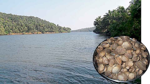 Khube Disappear From Terekhol River Sindhudurg Marathi News